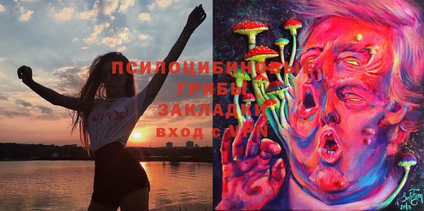 мет Арсеньев