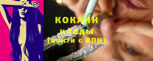 крисы Аркадак