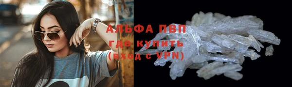 крисы Аркадак