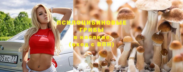 дурь Баксан