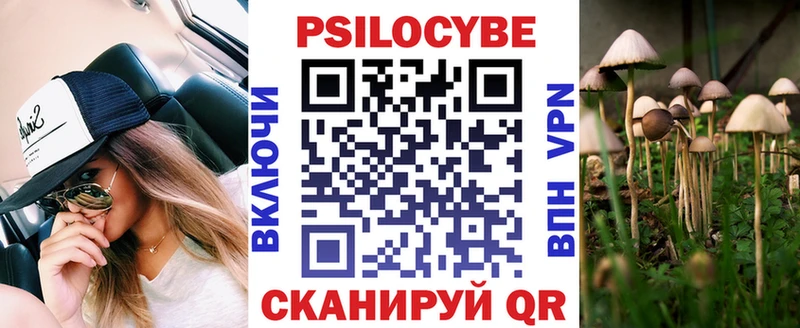 Галлюциногенные грибы Cubensis  даркнет сайт  Нурлат 